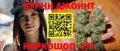 сатива Можайск