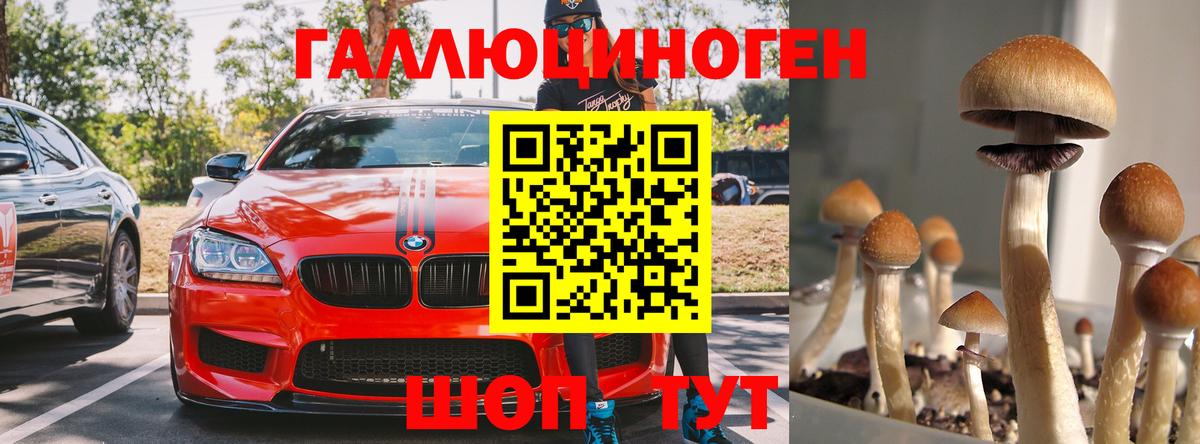 Семилуки  Псилоцибиновые грибы GOLDEN TEACHER  Галлюциногенные грибы GOLDEN TEACHER  Вход с VPN 